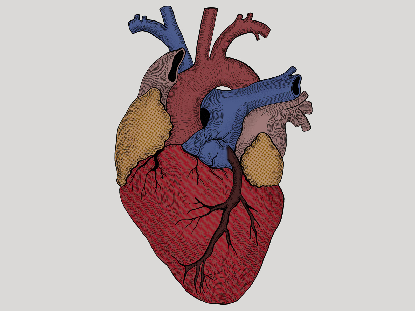 artist cover