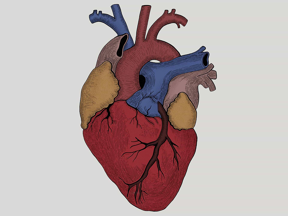 artist cover
