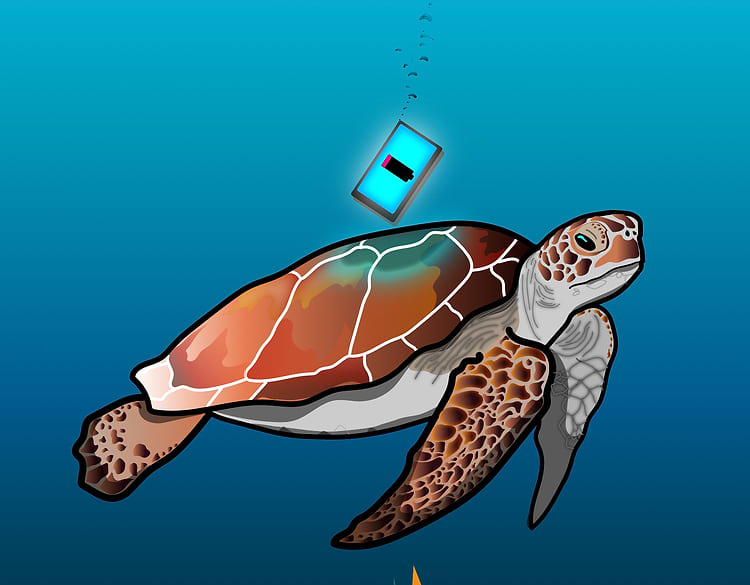 artist cover