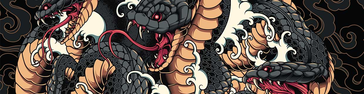 artist cover