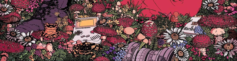 artist cover