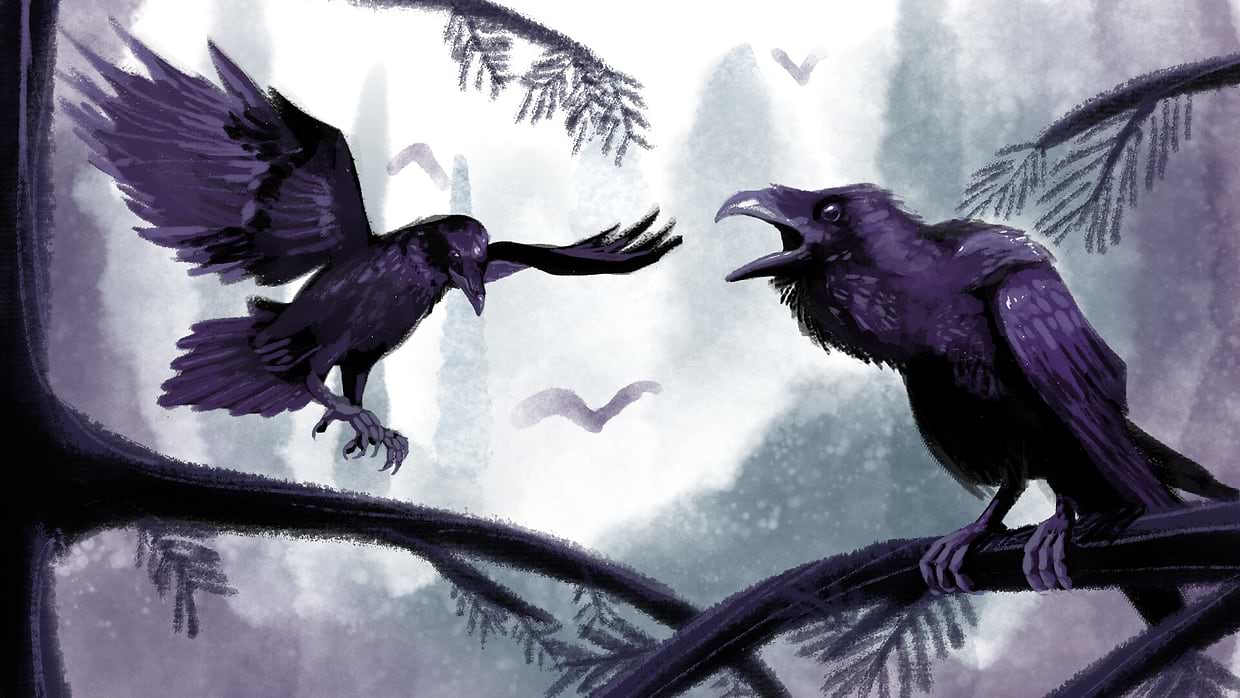 artist cover