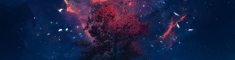 artist cover