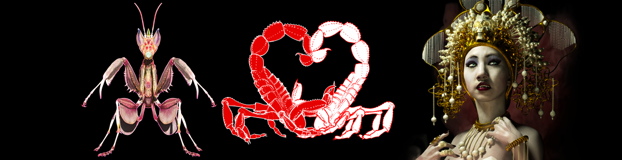 artist cover
