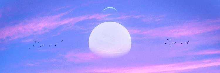 artist cover