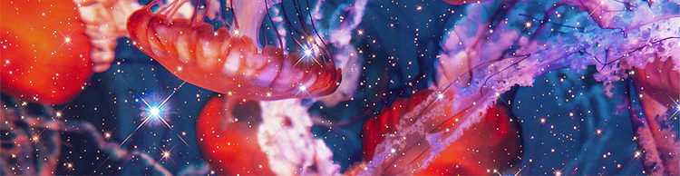 artist cover
