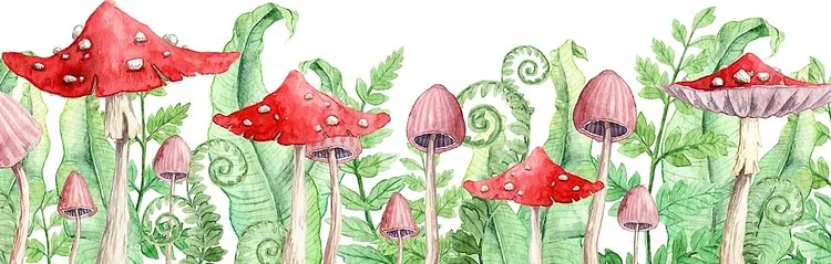 artist cover