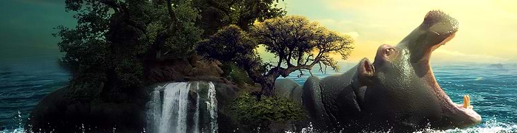 artist cover
