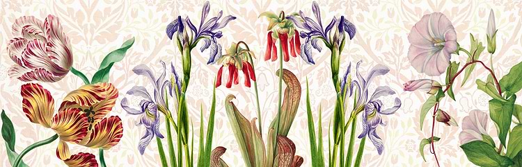 artist cover