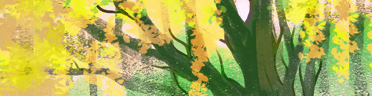 artist cover