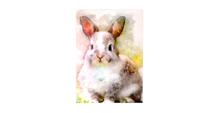 artist cover