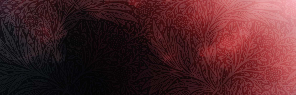 artist cover