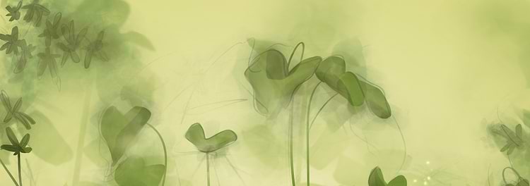 artist cover