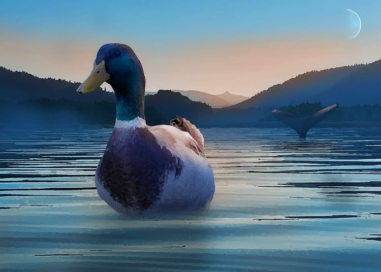 artist cover