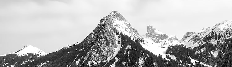artist cover