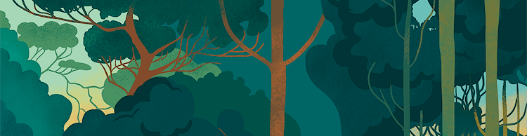 artist cover
