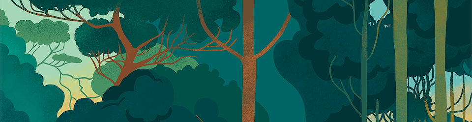artist cover
