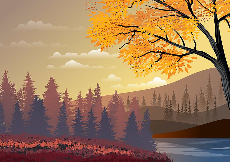 artist cover