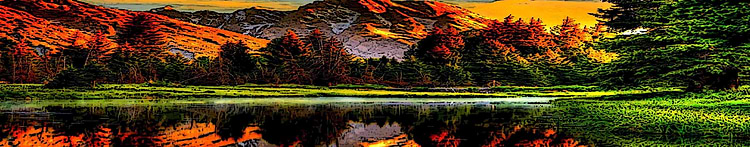 artist cover