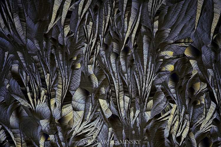 artist cover