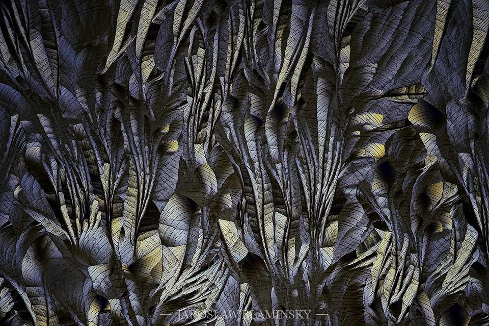 artist cover