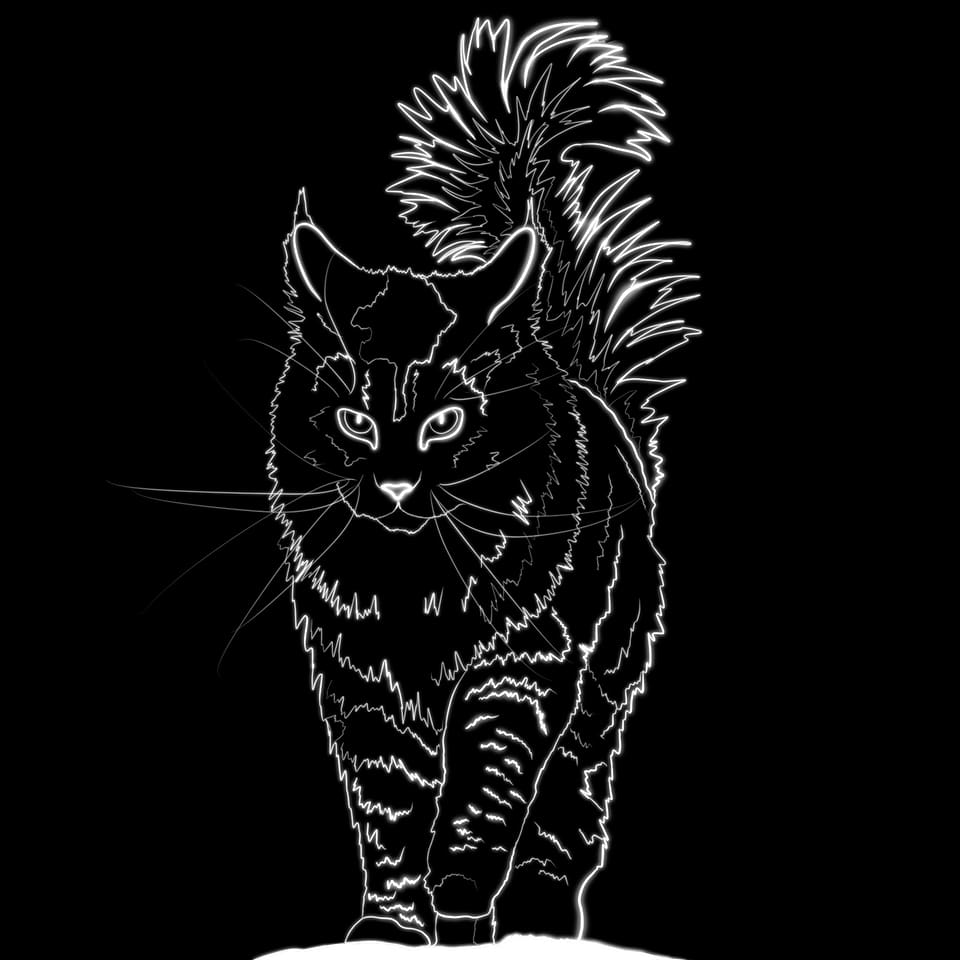artist cover