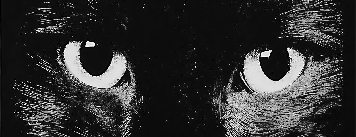 artist cover