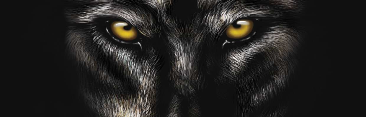 artist cover