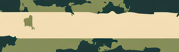 artist cover
