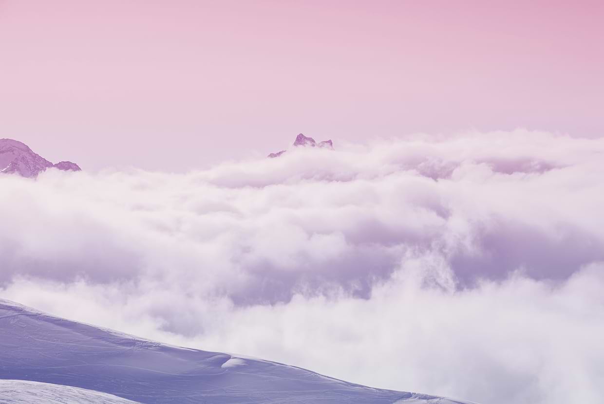 artist cover