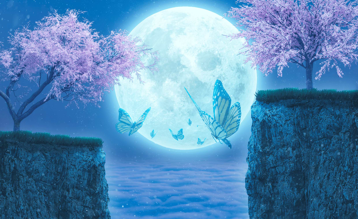 artist cover