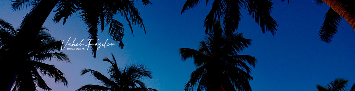 artist cover