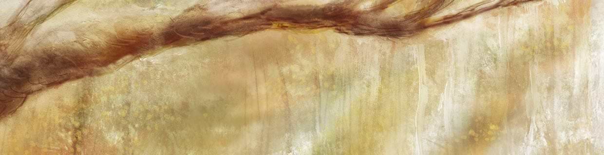artist cover