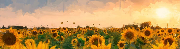 artist cover
