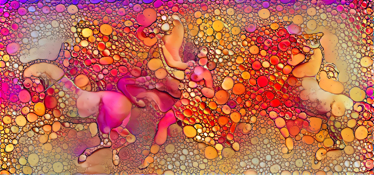 artist cover