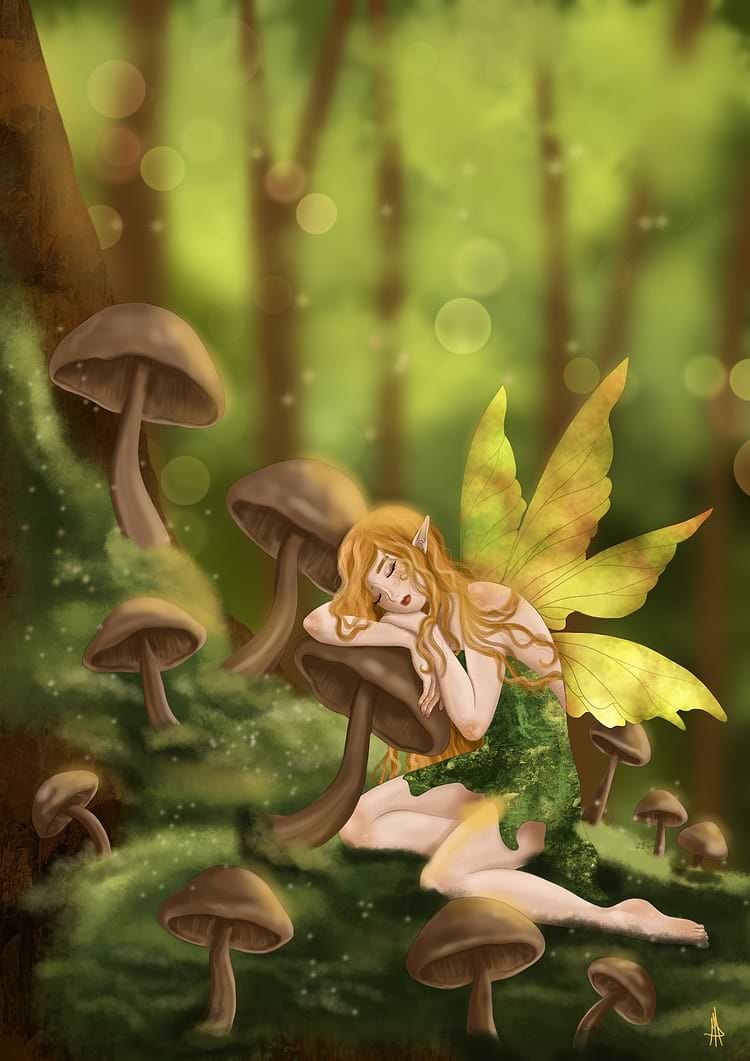 artist cover