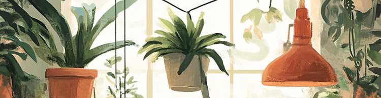 artist cover
