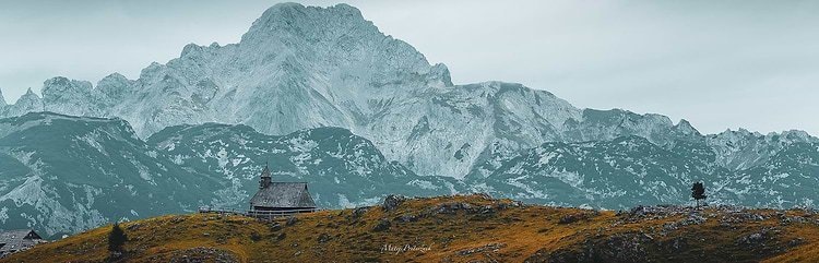 artist cover