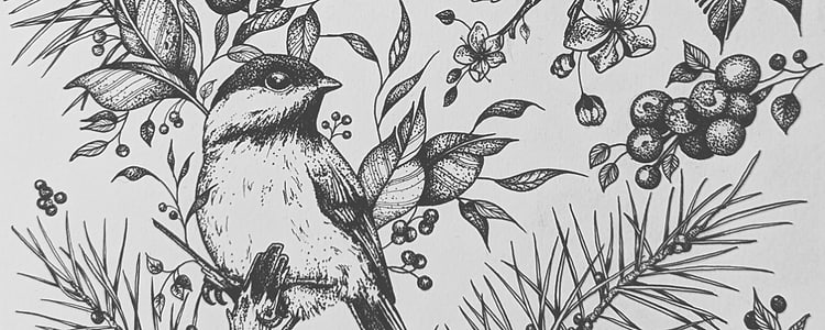 artist cover