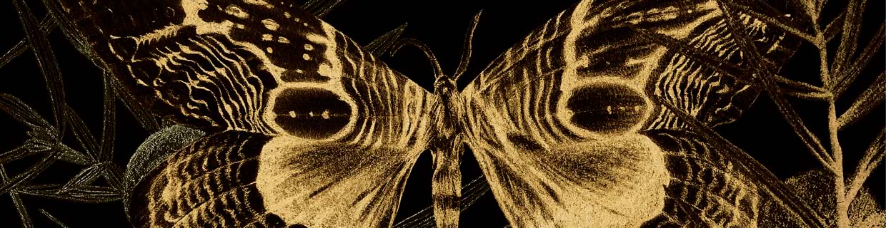 artist cover