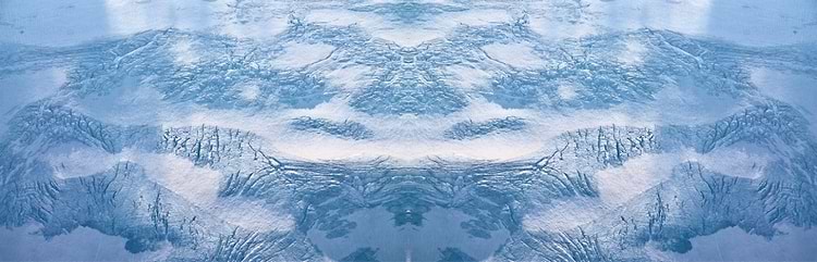 artist cover