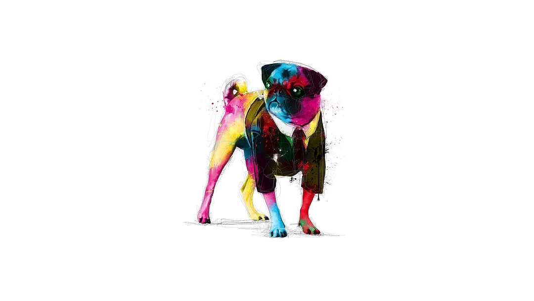 artist cover