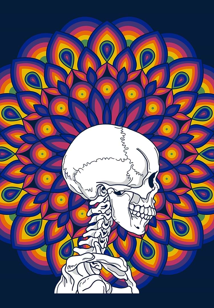 artist cover