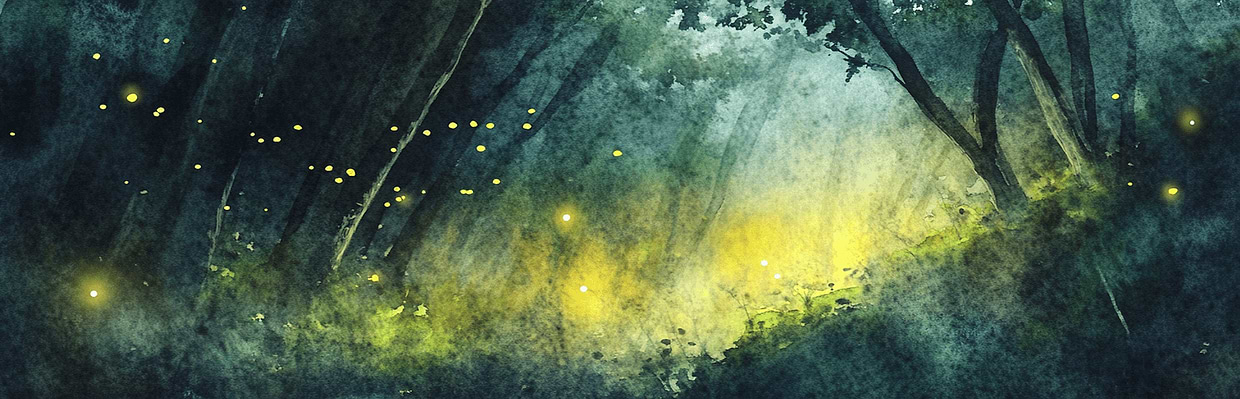 artist cover