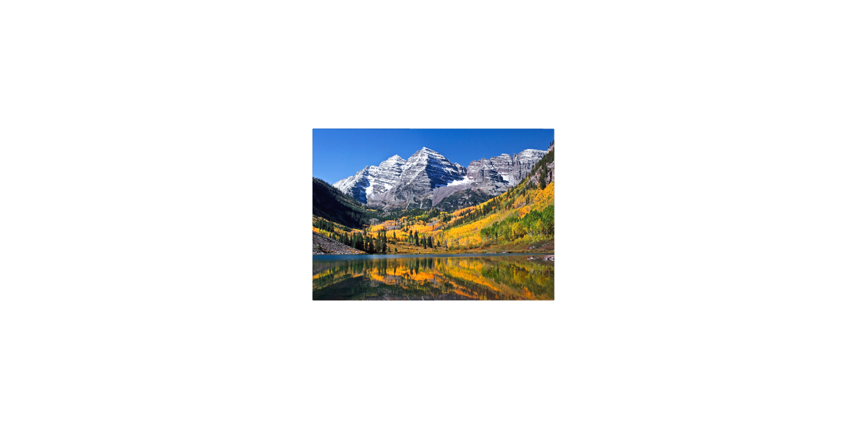artist cover
