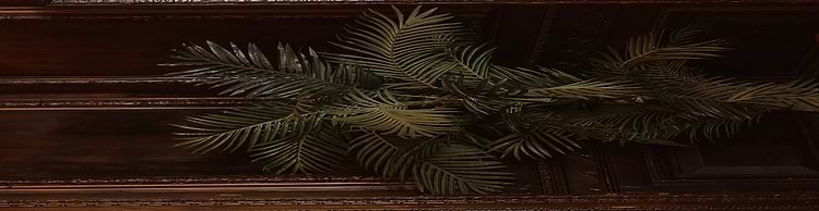 artist cover
