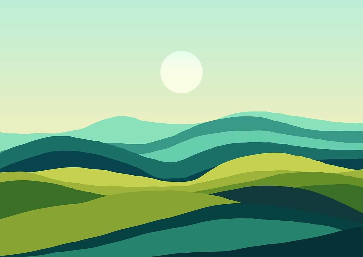 artist cover