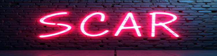 artist cover