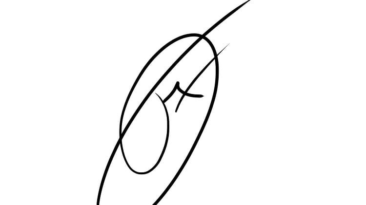 artist cover