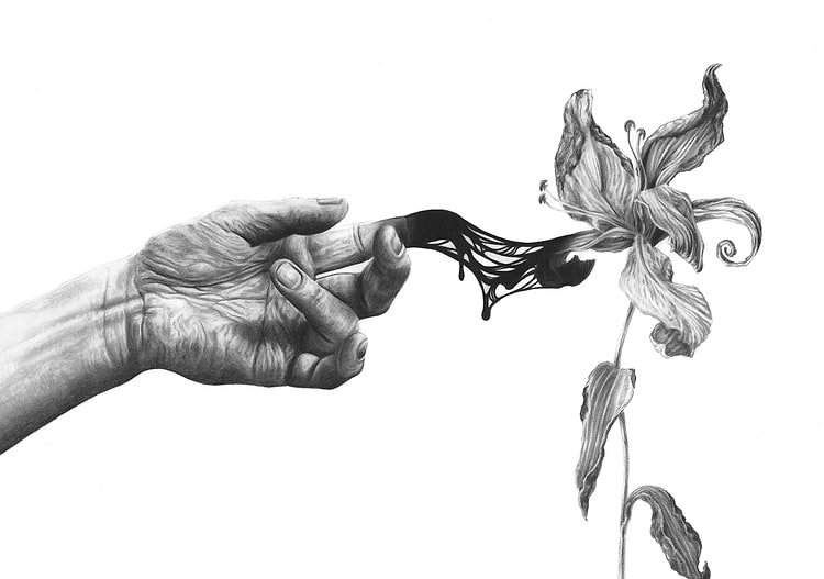 artist cover